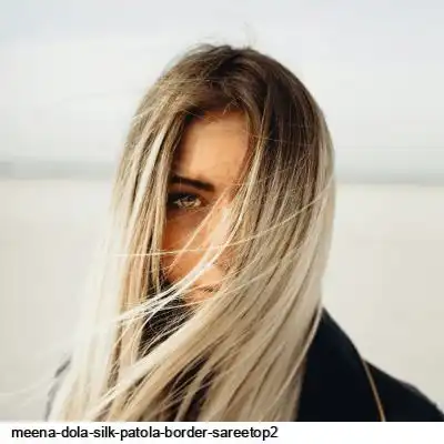 MEENA DOLA SILK PATOLA BORDER SAREETOP2 =